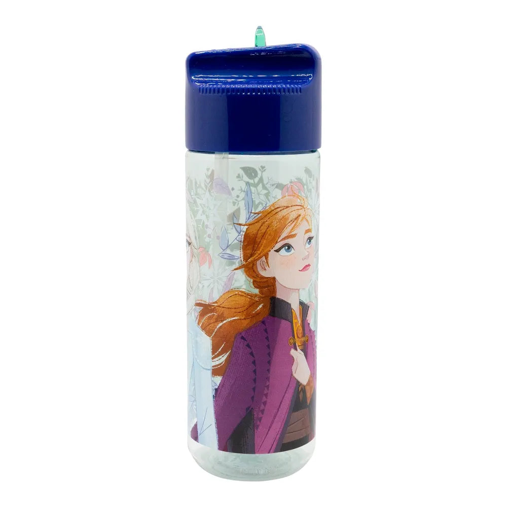 Disney Die Eiskönigin Elsa Anna Kinder Trinkflasche Flasche mit Halm 430 ml - WS-Trend.de