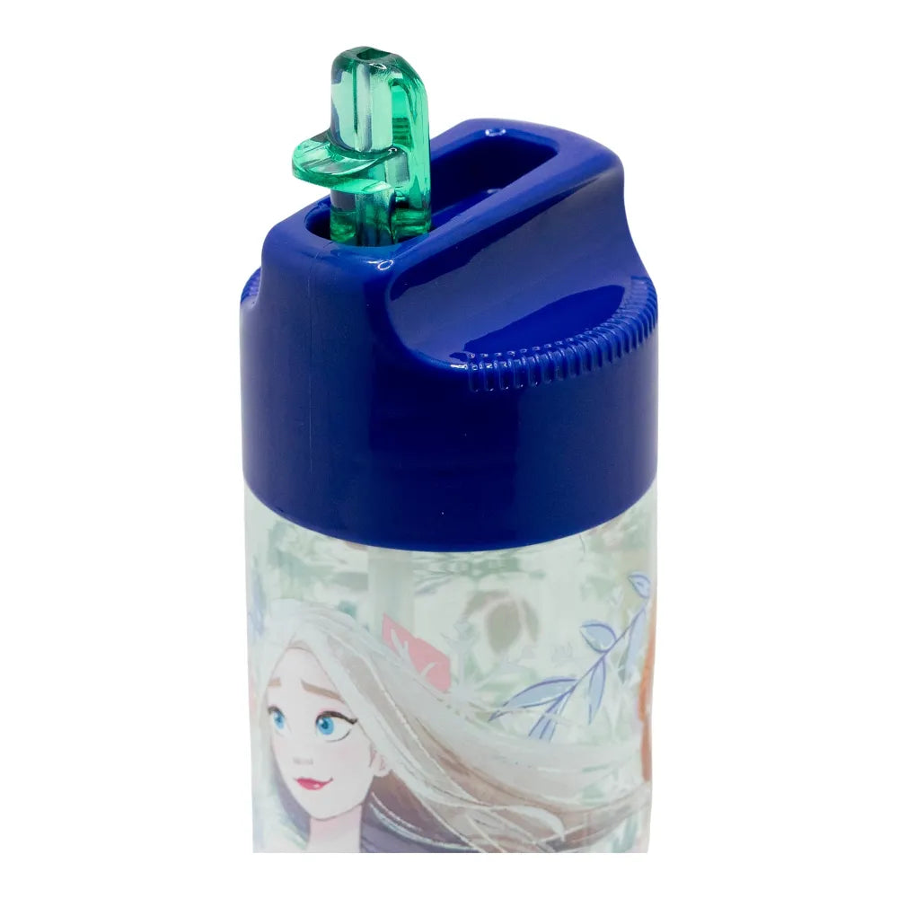 Disney Die Eiskönigin Elsa Anna Kinder Trinkflasche Flasche mit Halm 430 ml - WS-Trend.de