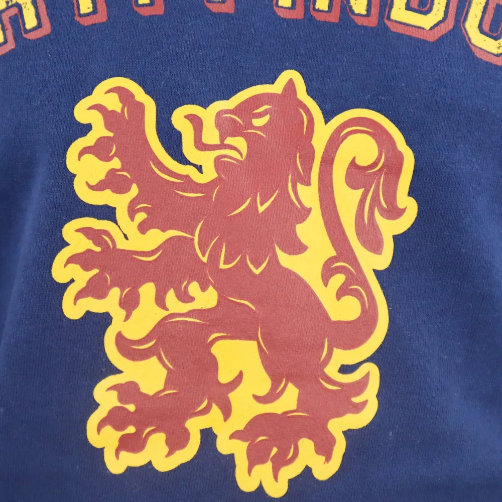 Harry Potter Gryffindor Kinder Jungen Pullover Sweater - WS-Trend.de Pulli 134-164 Baumwolle